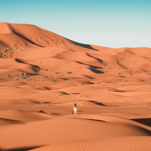 pexels-taryn-elliott-4253829